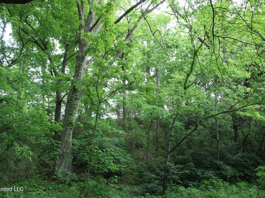 Property Image 51