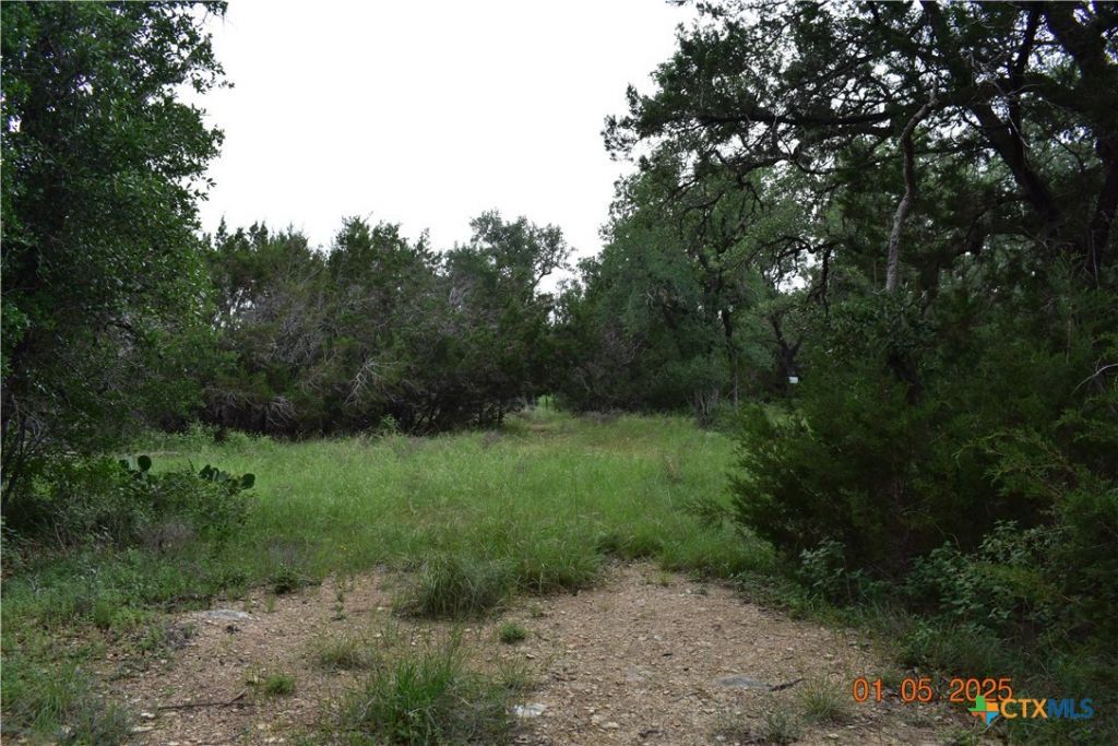 2315 Haven Bluff Court, New Braunfels, TX 78132 Main Photo