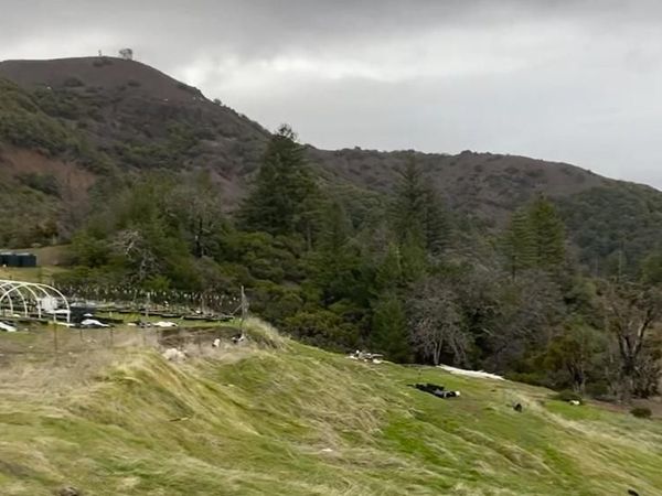 53700 Iron Creek Road, Laytonville, CA 95454