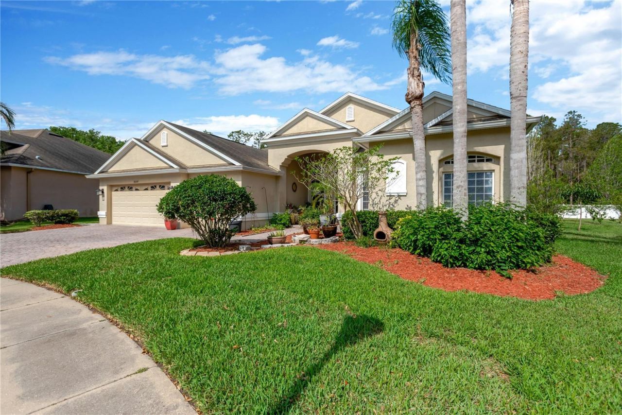 20749 Auburn Leaf Trail, Land O Lakes, FL 34638 Main Photo