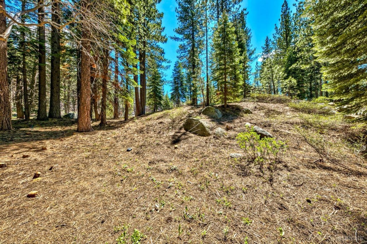 1444 Apache Avenue, South Lake Tahoe, CA 96150 Photo