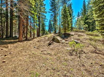 1444 Apache Avenue, South Lake Tahoe, CA 96150 Photo
