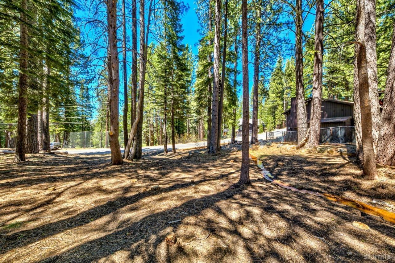 1444 Apache Avenue, South Lake Tahoe, CA 96150 Photo
