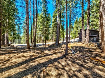 1444 Apache Avenue, South Lake Tahoe, CA 96150 Photo