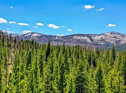 1444 Apache Avenue, South Lake Tahoe, CA 96150 Photo