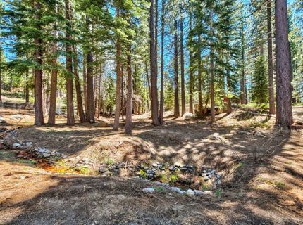 1444 Apache Avenue, South Lake Tahoe, CA 96150 Photo