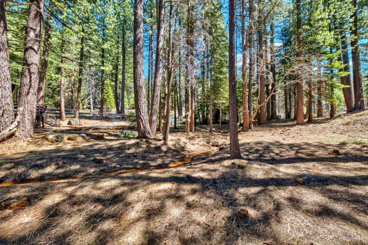 1444 Apache Avenue, South Lake Tahoe, CA 96150 Photo