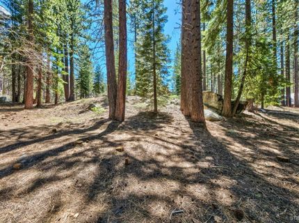 1444 Apache Avenue, South Lake Tahoe, CA 96150 Photo