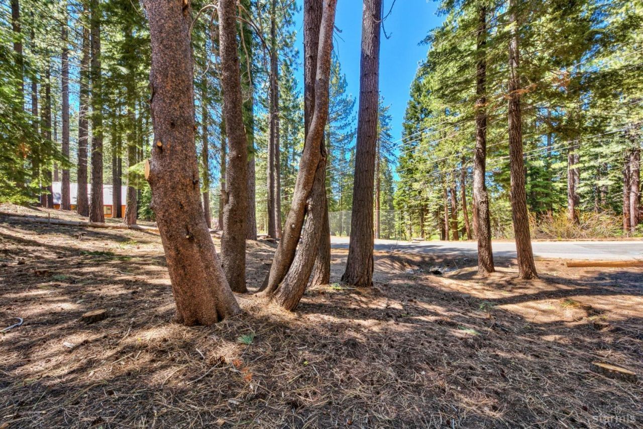 1444 Apache Avenue, South Lake Tahoe, CA 96150 Photo