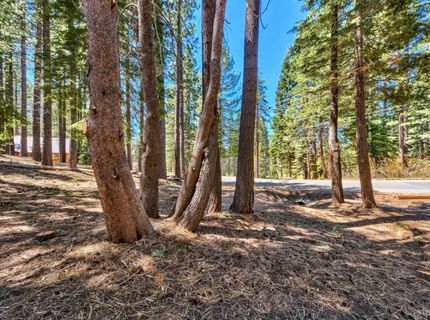 1444 Apache Avenue, South Lake Tahoe, CA 96150 Photo