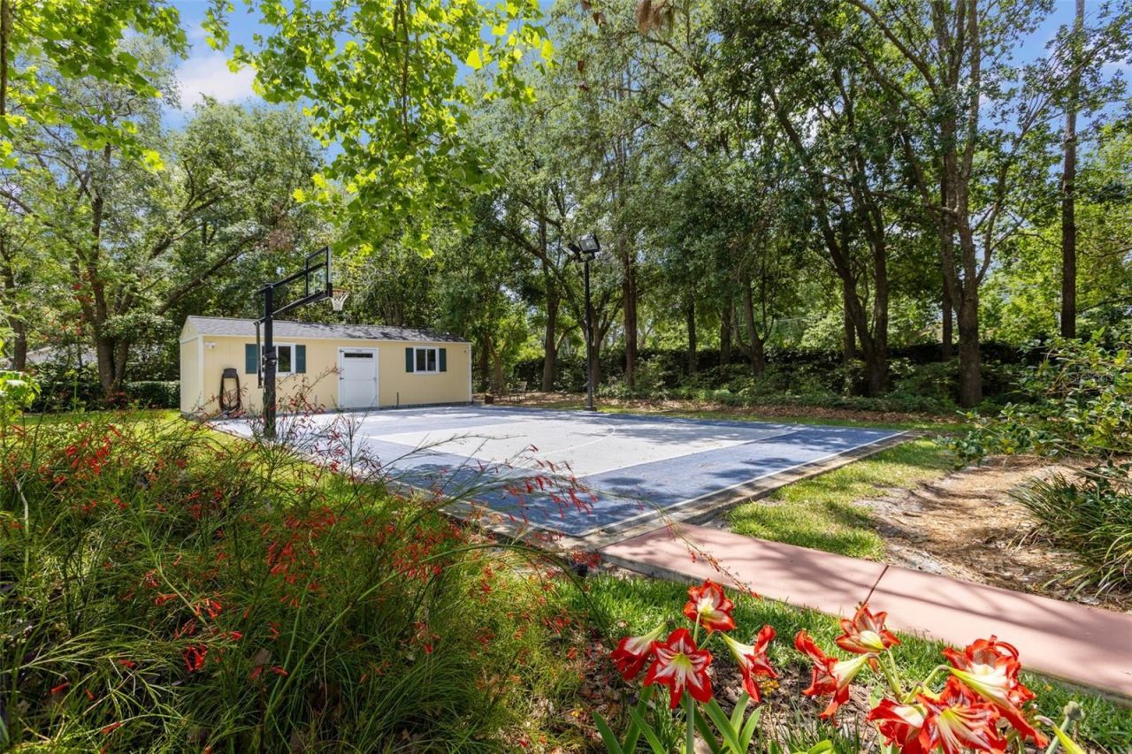 2501 Rustic Oaks Drive, Lutz, FL 33559 Photo