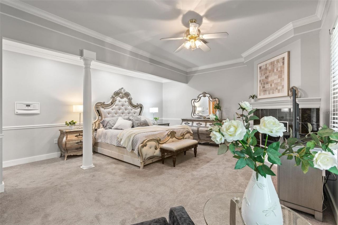 2501 Rustic Oaks Drive, Lutz, FL 33559 Photo