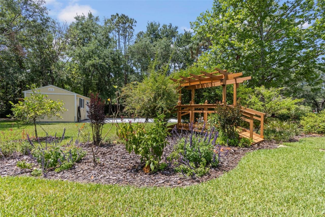 2501 Rustic Oaks Drive, Lutz, FL 33559 Photo