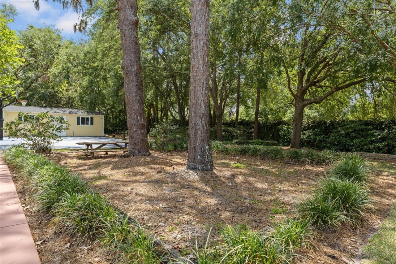 2501 Rustic Oaks Drive, Lutz, FL 33559 Photo