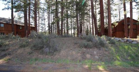 16338 Lance Drive, Truckee, CA 96161 Photo