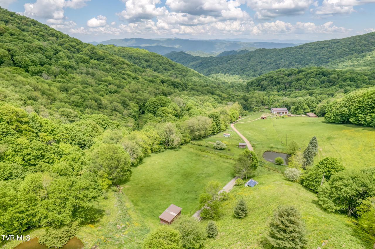 1010 Heaton Creek Road, Roan Mountain, TN 37687 Main Photo