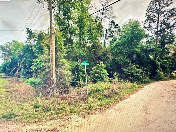 219 KINGSTON BOULEVARD, SATSUMA, FL 32189