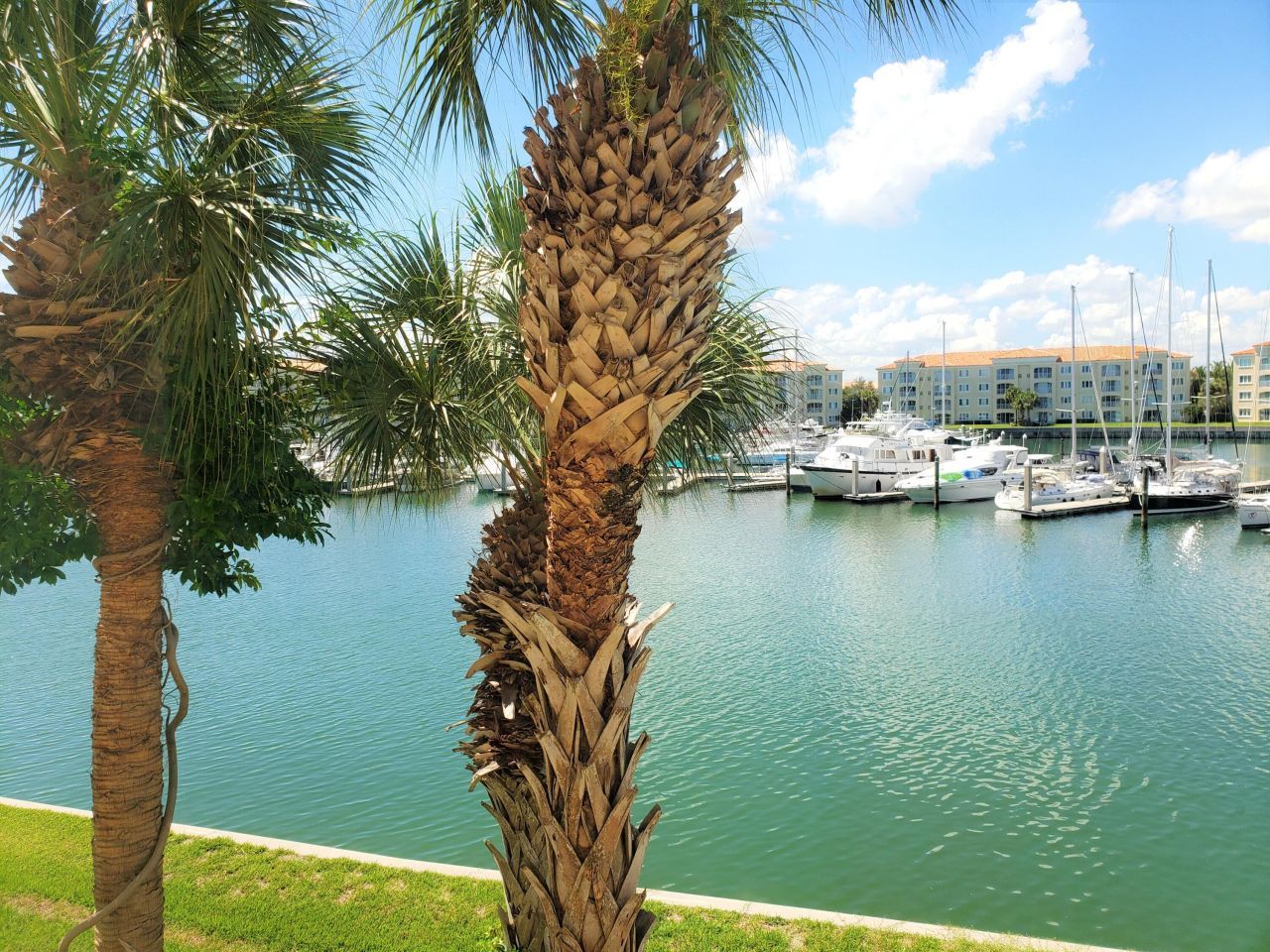 10 Harbour Isle Drive E, Unit 204, Fort Pierce, FL 34949 Photo