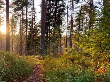 1605 Sterling Oaks Court SE, Ada, MI 49301