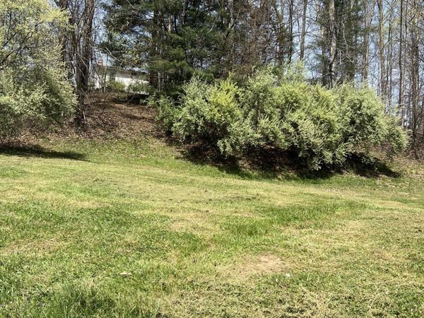 433 Ashley Ln, Summersville, WV 26651