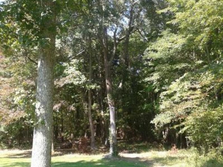 Shady Side Road, Shady Side, MD 20764 Main Photo