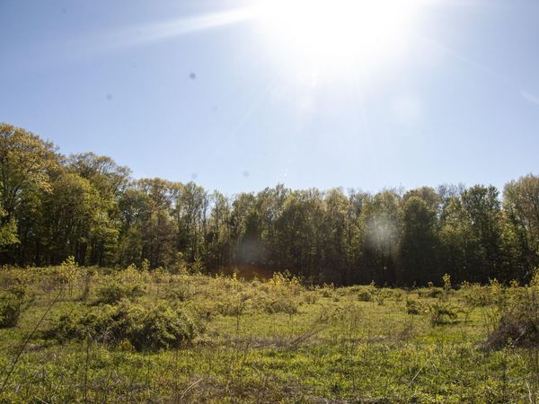 6877 N Nature Lane, La Porte, IN 46350