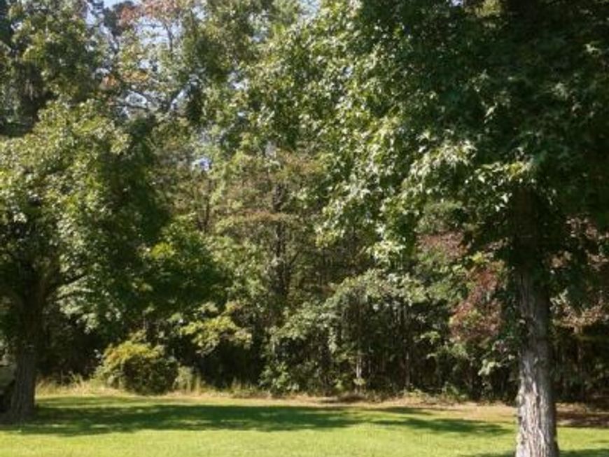 Shady Side Road, Shady Side, MD 20764 Main Photo