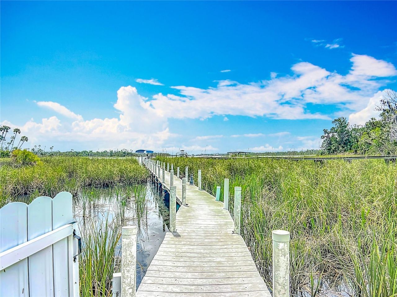 1544 NW 17th Court, Crystal River, FL 34428 Photo