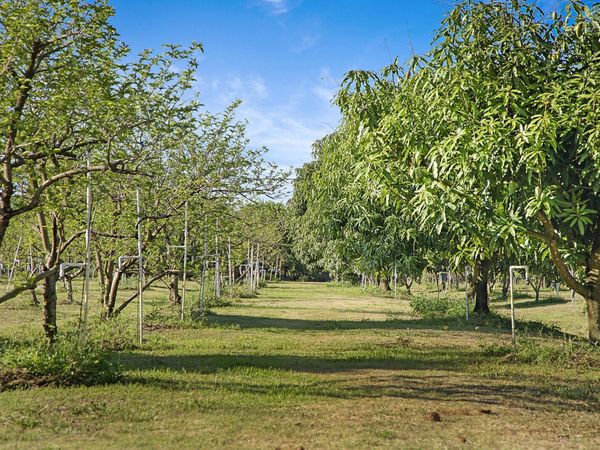 3057 D Road, Loxahatchee Groves, FL 33470