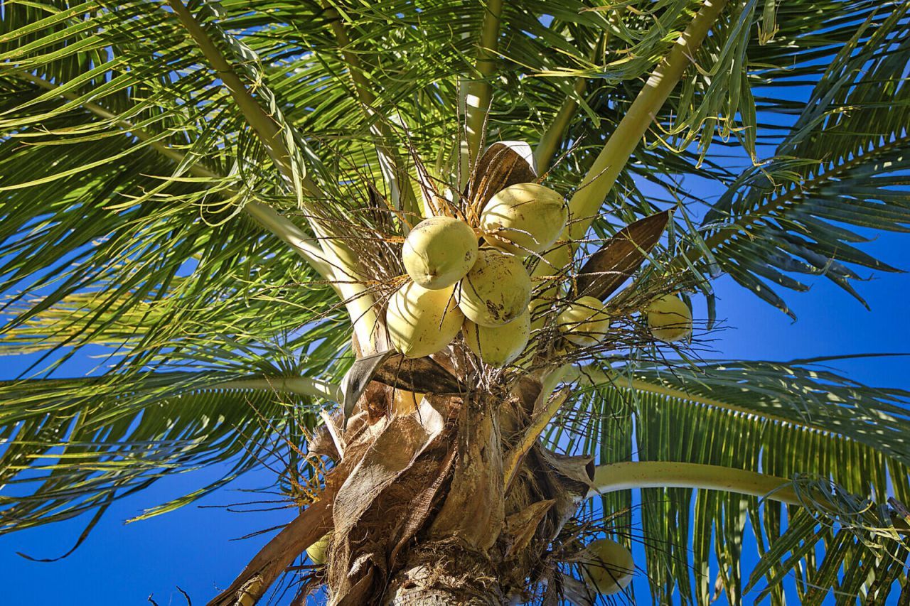 3057 D Road, Loxahatchee Groves, FL 33470 Photo