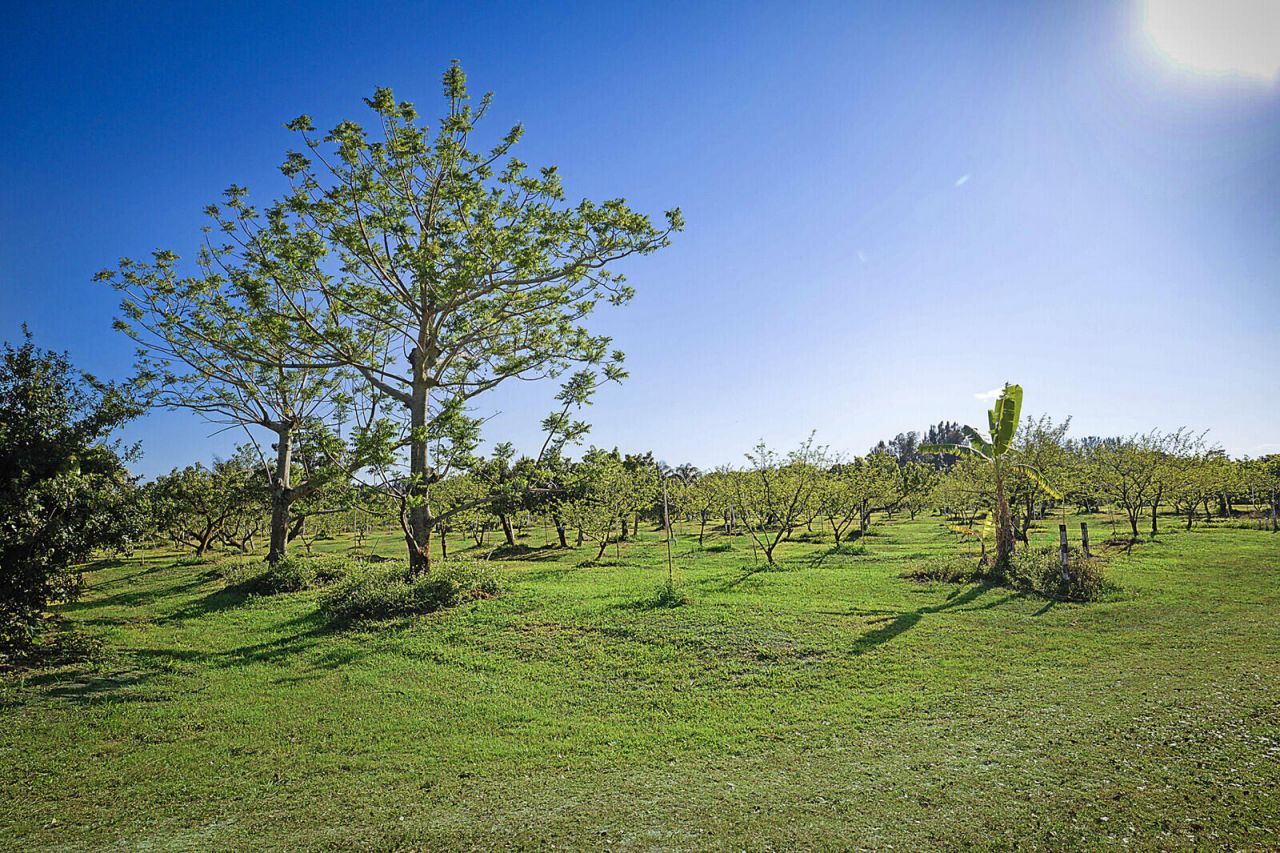 3057 D Road, Loxahatchee Groves, FL 33470 Photo