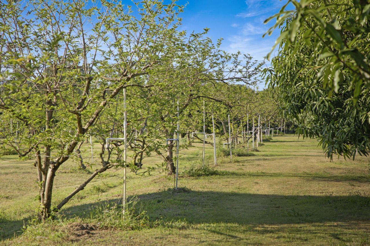 3057 D Road, Loxahatchee Groves, FL 33470 Photo