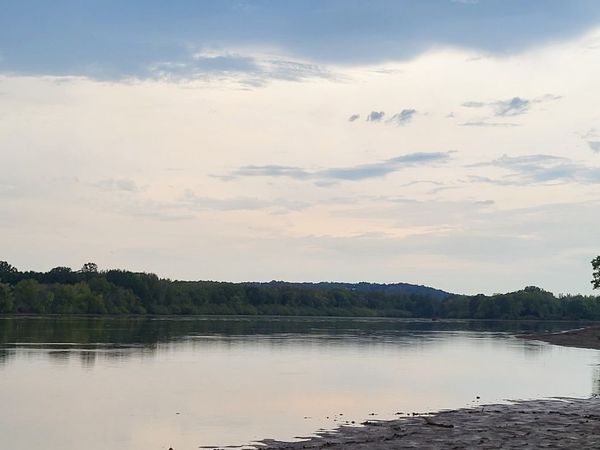 1 Shake Rag Rd, Sugar Tree, TN 38380