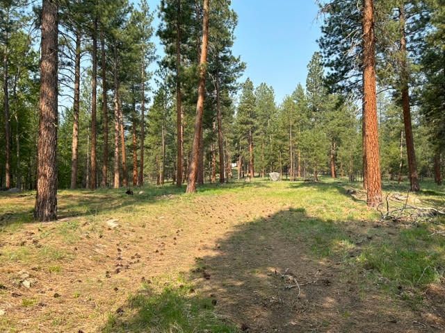 440 Sharrott Hill Loop, Unit lot 5, Stevensville, MT 59870 Main Photo