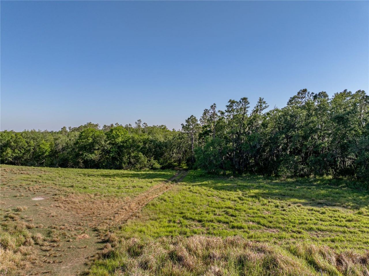 Acuff Road, Fort Meade, FL 33841 Photo