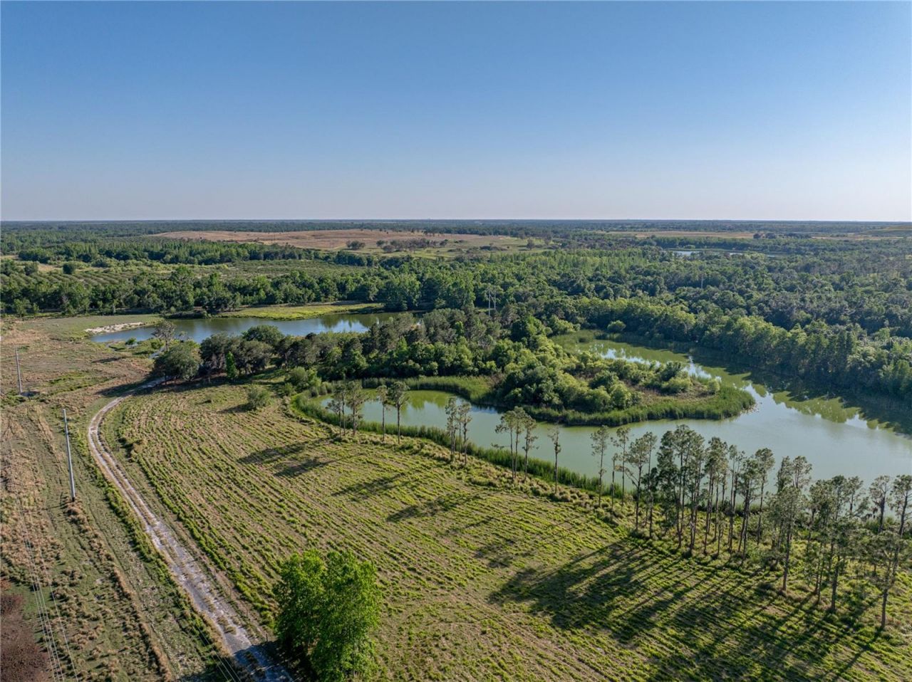 Acuff Road, Fort Meade, FL 33841 Photo