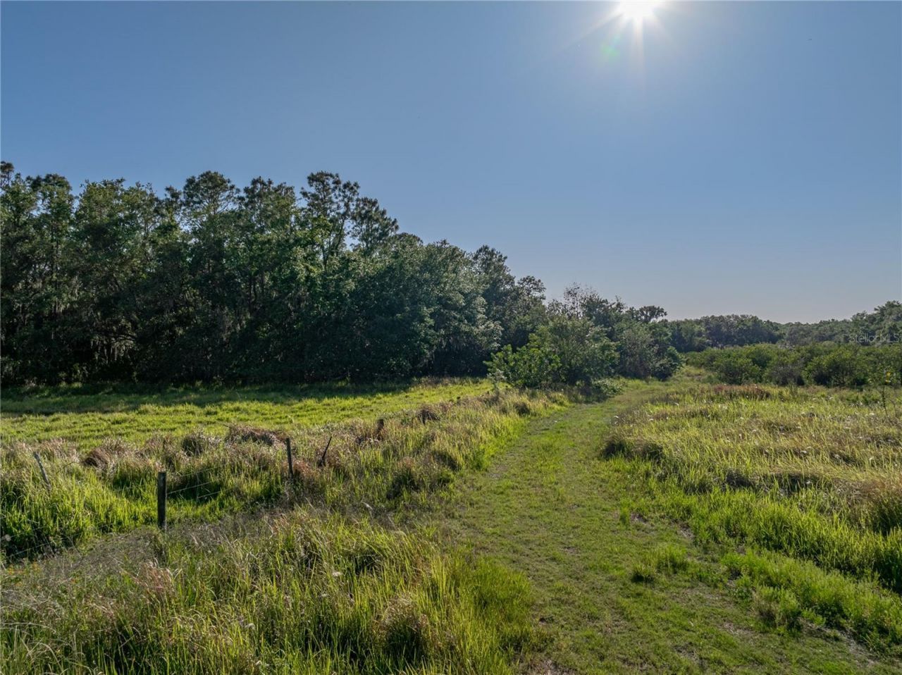 Acuff Road, Fort Meade, FL 33841 Photo