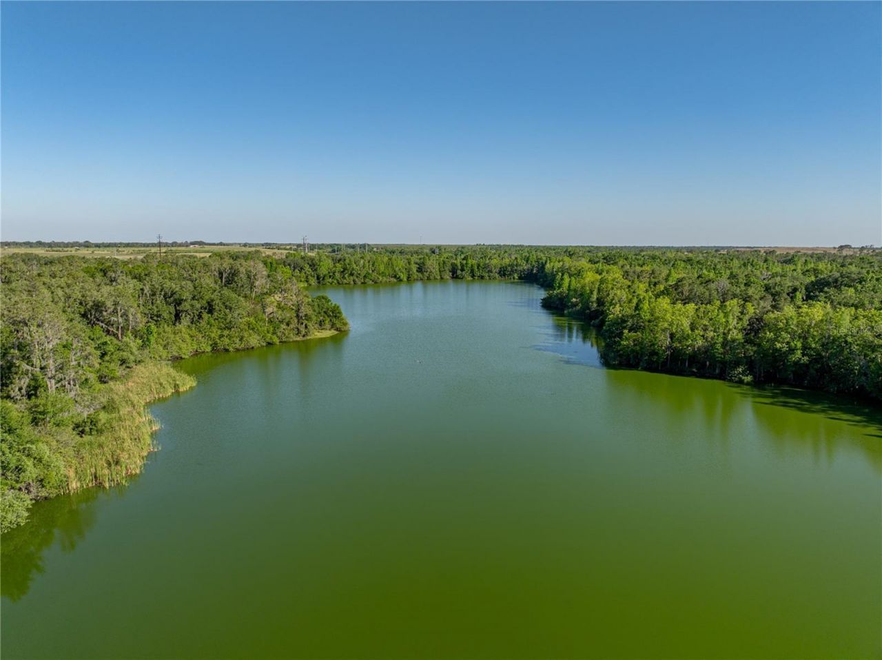 Acuff Road, Fort Meade, FL 33841 Photo