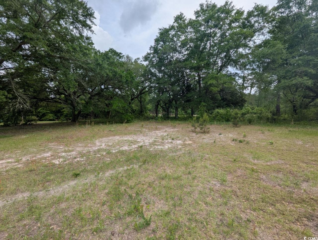 450 Hayfield Rd. Photo 4