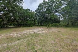 450 Hayfield Rd. photo 4