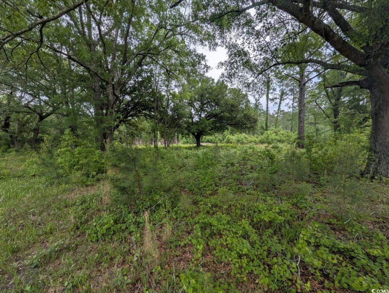 450 Hayfield Rd. Photo 5