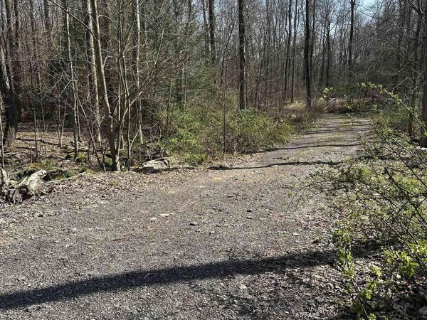 Lots 21&22 Belgian Estates, Bruceton Mills, WV 26525