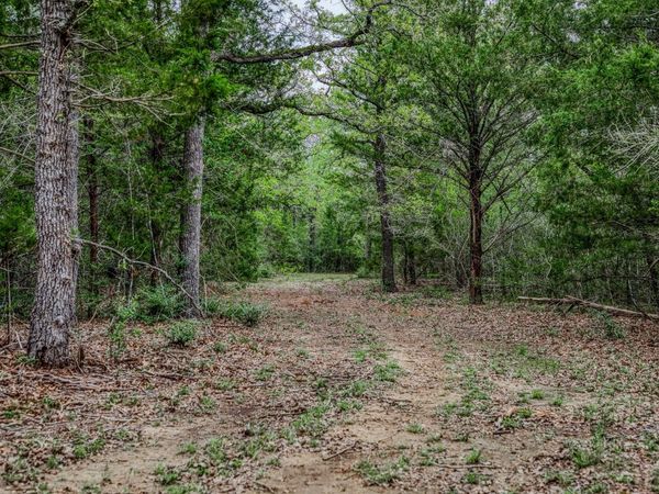 TBD (349.84 Acres) County Road 125, Ledbetter, TX 78946