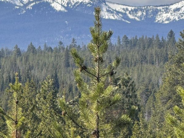 Crescent Moon Drive, Unit 13, Crescent Lake, OR 97733