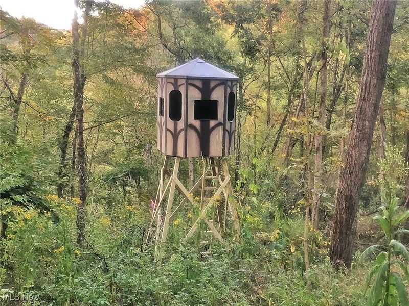 0 State Route 78, Summerfield, OH 43788 Photo 27