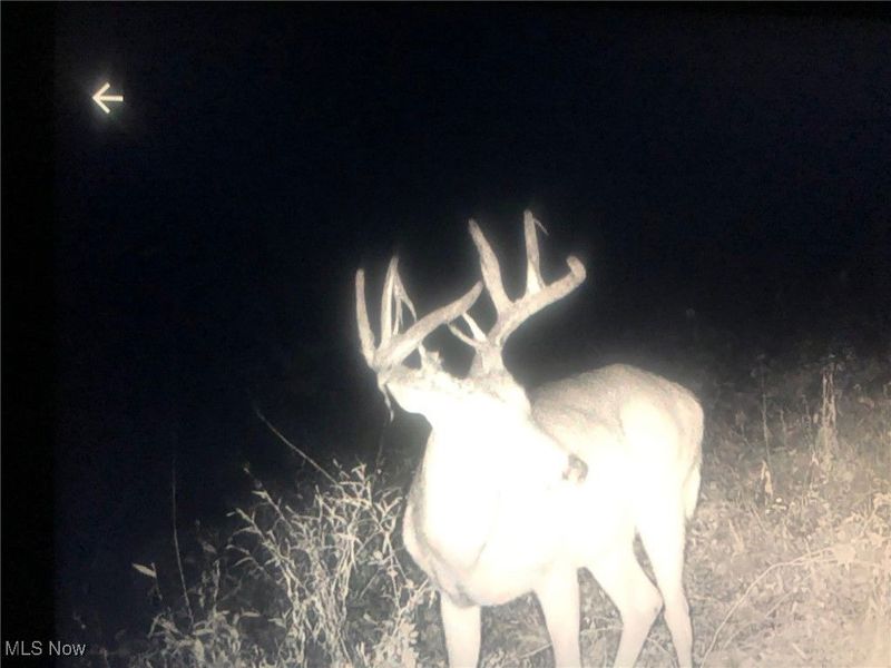 0 State Route 78, Summerfield, OH 43788 Photo 28