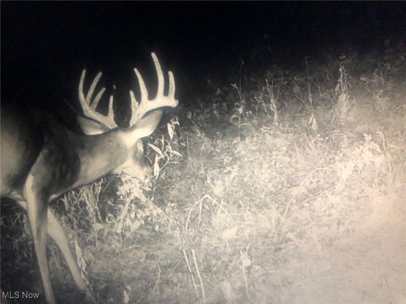 0 State Route 78, Summerfield, OH 43788 Photo 29