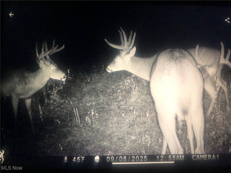 0 State Route 78, Summerfield, OH 43788 Photo 30