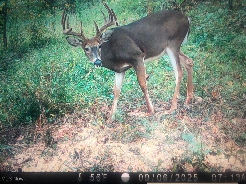 0 State Route 78, Summerfield, OH 43788 Photo 35