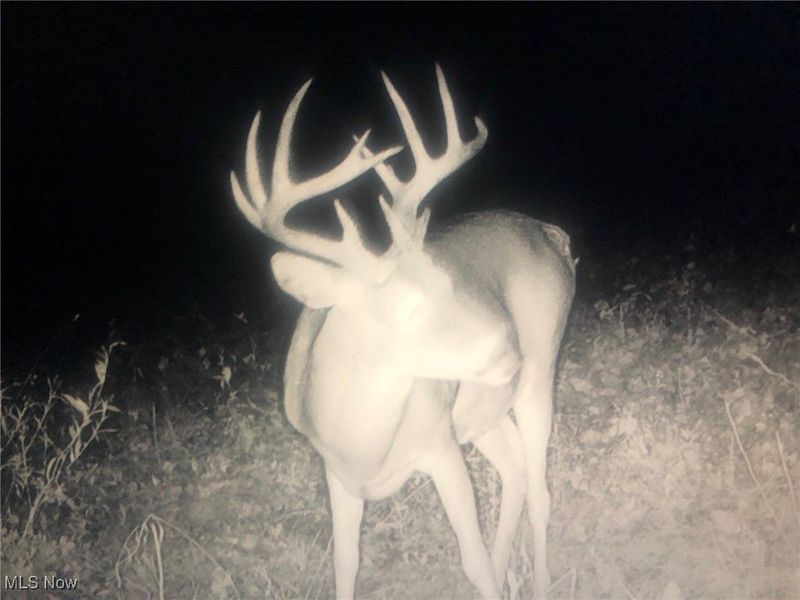 0 State Route 78, Summerfield, OH 43788 Photo 36